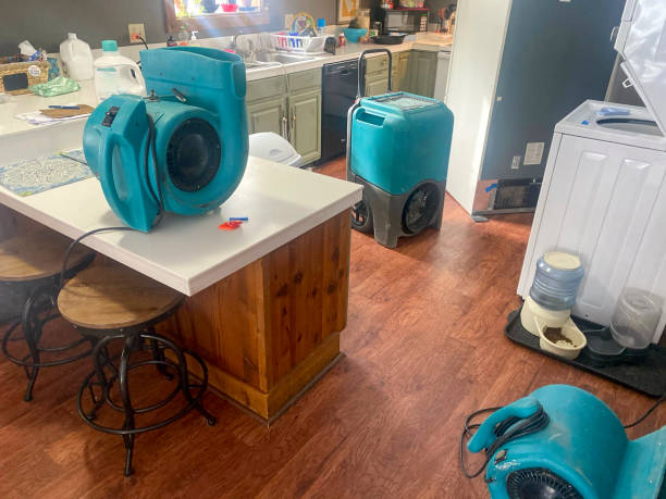 Best Commercial water damage restoration  in Le Center, MN