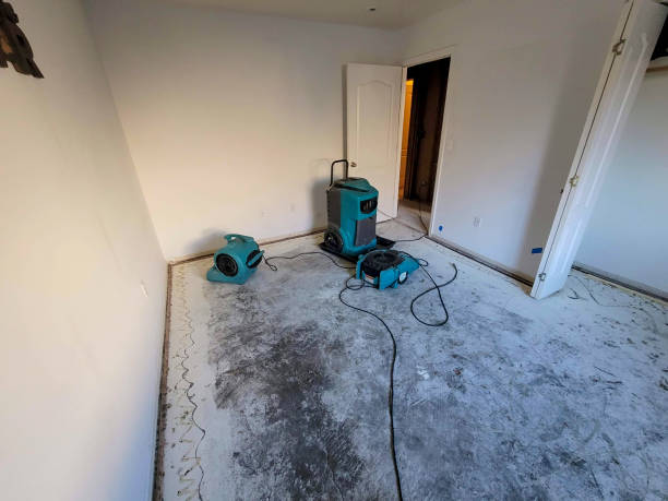 Best Emergency water extraction  in Le Center, MN