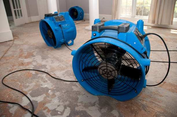 Best Water damage cleanup near me  in Le Center, MN