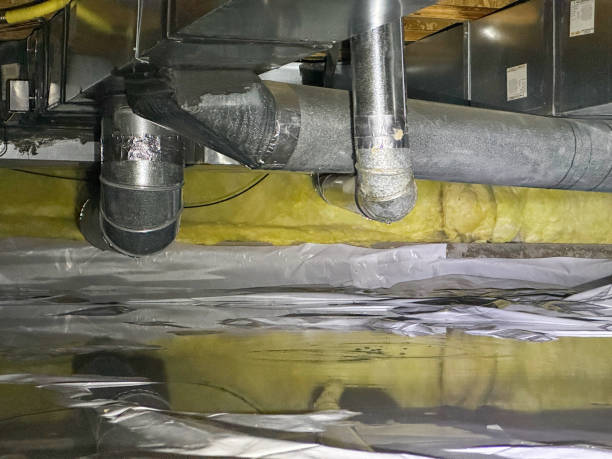 Best Carpet water damage restoration  in Le Center, MN