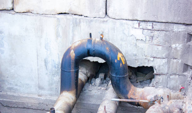 Best Flood restoration services  in Le Center, MN