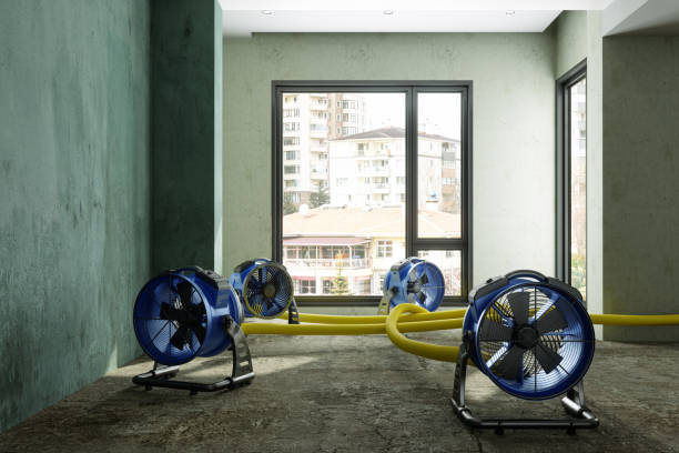 Best Flood restoration services  in Le Center, MN